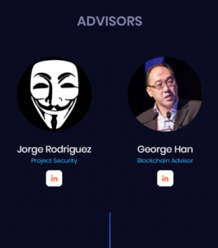 OPP Advisors